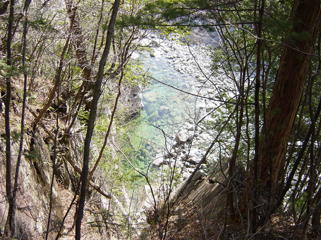 �����X�ѓS���u�������싴���[�����򋴗��v