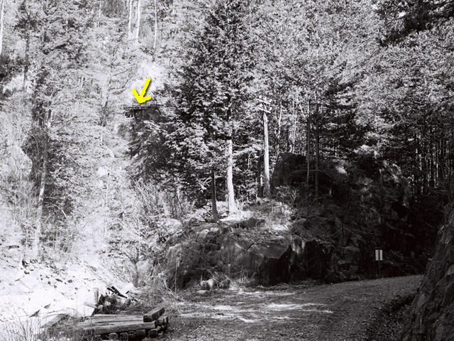 �����X�ыO���u�������싴���[�����򋴗��v