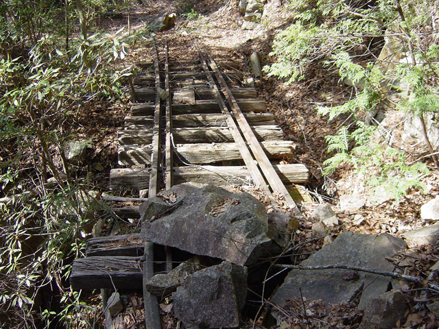 �����X�ыO���u�������싴���[�����򋴗��v