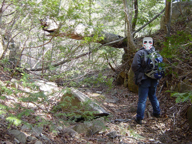 �����ѓS,�X�ѓS��,�p����