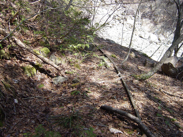 �����ѓS,�X�ѓS��,�p����