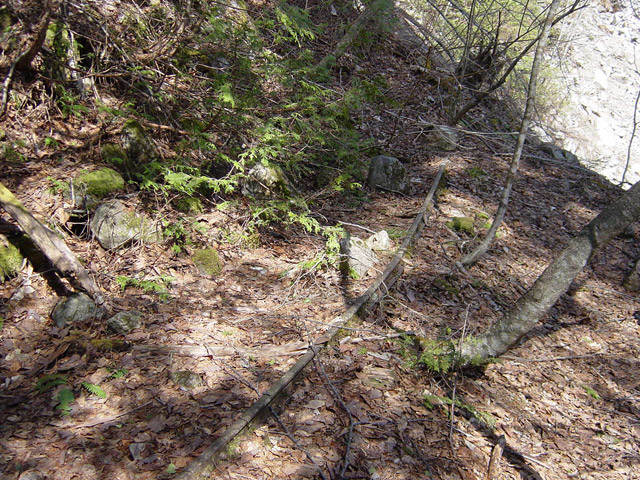 �����ѓS,�X�ѓS��,�p����