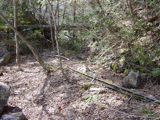 �����ѓS,�X�ѓS��,�p����