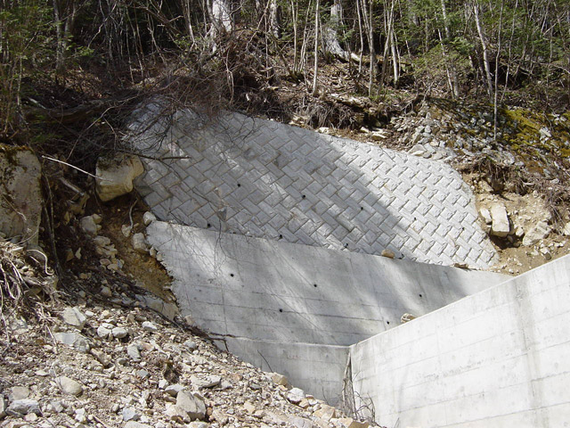 �ؑ]�X�ѓS���������u�������싴���[�����򋴗��v