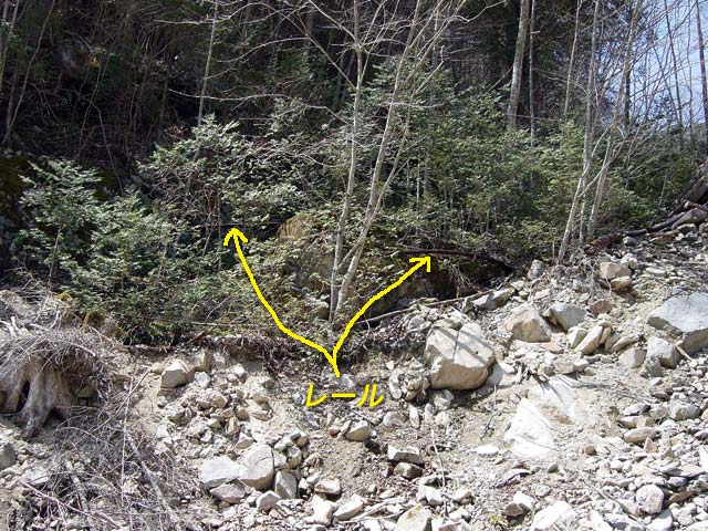 �ؑ]�X�ѓS���������u�������싴���[�����򋴗��v