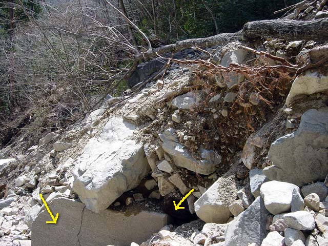 �����O��,�X�ѓS��,�p����,�����򋴗�,�ѓS