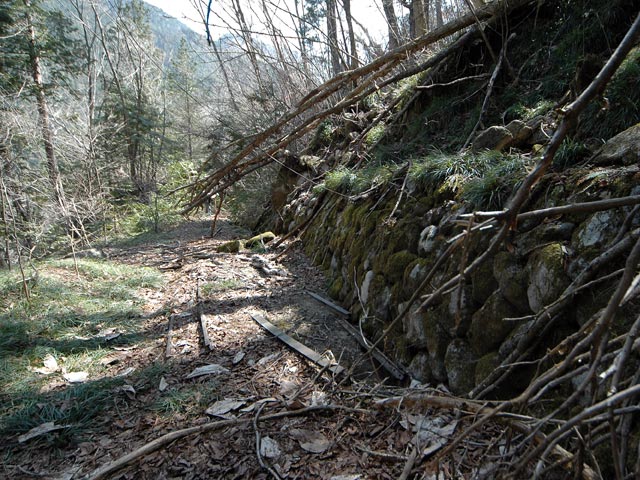 �����X�ѓS��,�ѓS,�p����,�X�ыO��