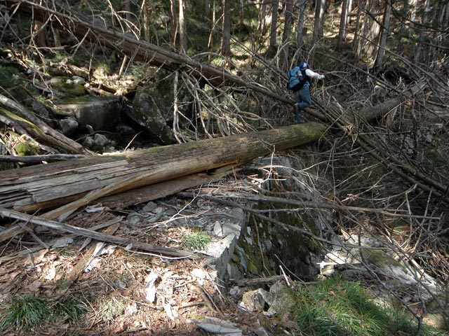 �����X�ѓS��,�ѓS,�p����,�X�ыO��