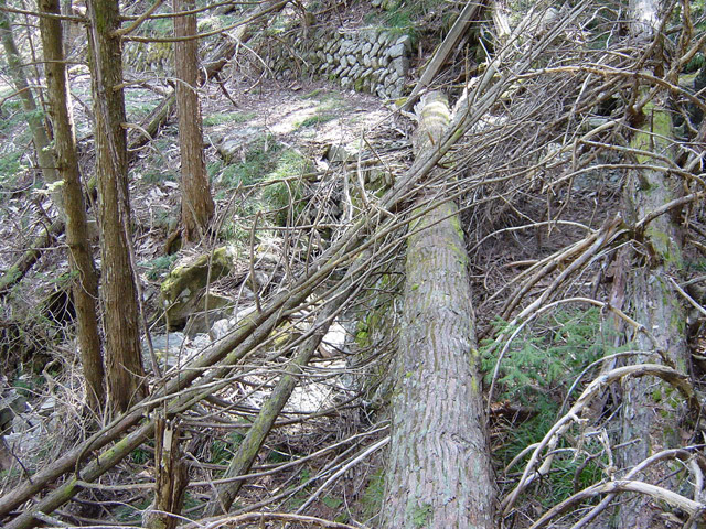 �����X�ѓS��,�ѓS,�p����,�X�ыO��