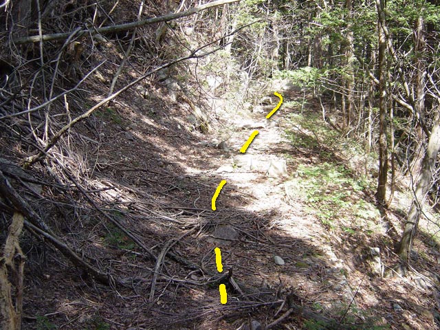 �ؑ]�X�ѓS��������.�ѓS,�p����,����