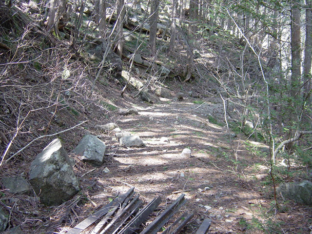 �ؑ]�X�ѓS��������.�ѓS,�p����,���[��,�P��