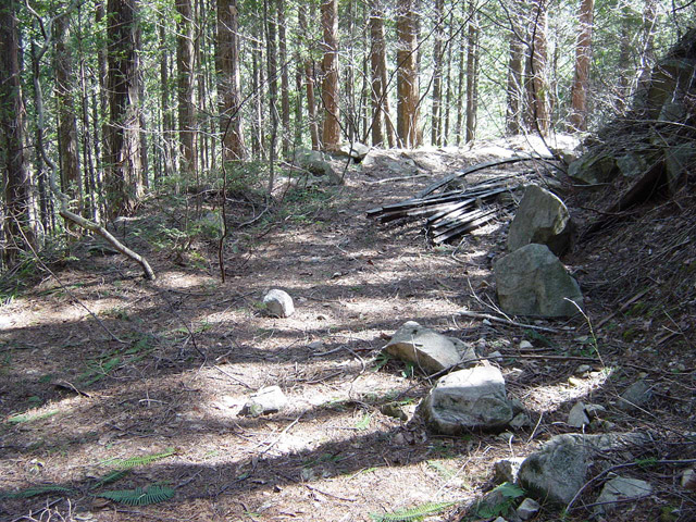 �ؑ]�X�ѓS��������.�ѓS,�p����,���[��,�P��