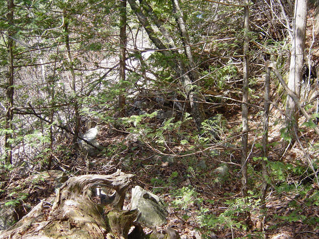 �ѓS,�����X�ѓS��,�p����