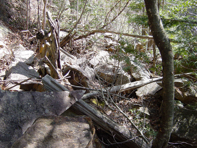 �ѓS,�����X�ѓS��,�p����