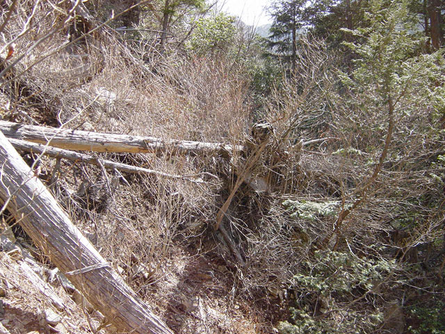 �ؑ]�X�ѓS��������,�ѓS,�p����,�؋���