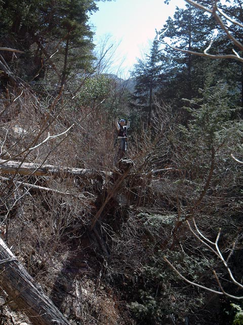 �ؑ]�X�ѓS��������,�ѓS,�p����,�؋���