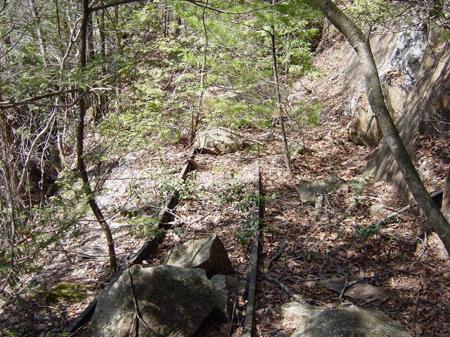 �ؑ]�X�ѓS��������,�ѓS,�p����,���[��,���H