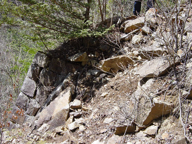 �ؑ]�X�ѓS��������,�ѓS,�p����,�؋���