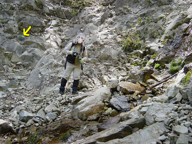 �����X�ѓS��,�ѓS,�p����,�O����,����,�����,������