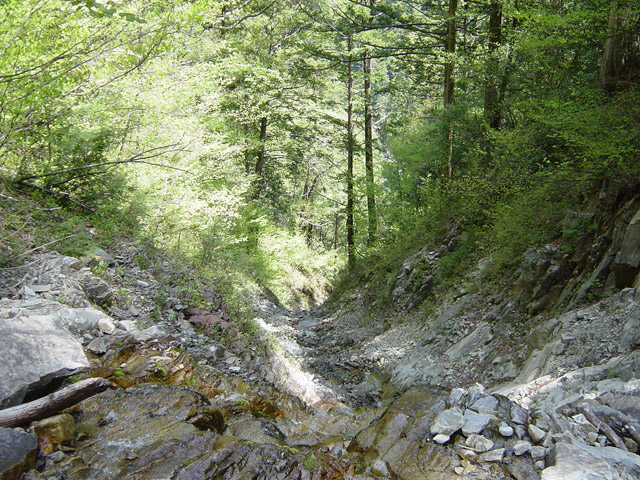 �����X�ѓS��,�ѓS,�p����,�O����,����,�����,������