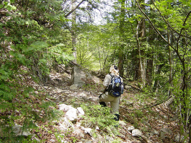 �����X�ѓS��,�ѓS,�p����,�O����,����,����