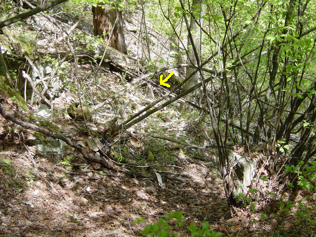 �����X�ѓS��,�ѓS,�p����,�O����,����,�V��