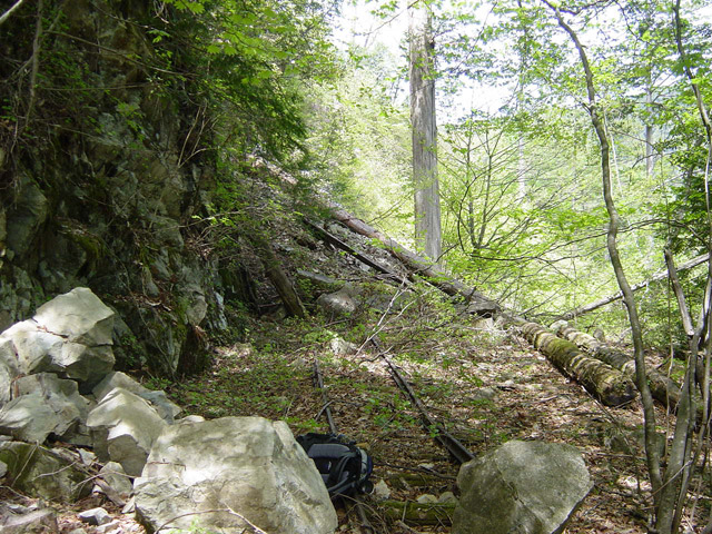 �����X�ѓS��,�ѓS,�p����,�O����,���[��,����