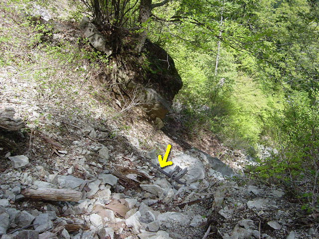 �����X�ѓS��,�ѓS,�p����,�O����,���[��,����,����,����