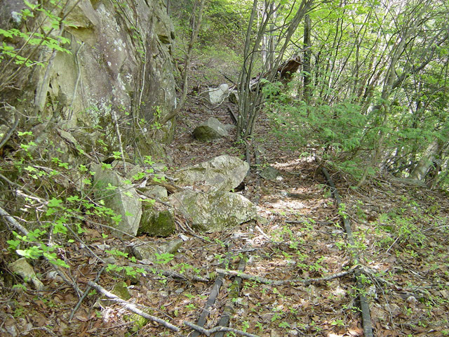 �����X�ѓS��,�ѓS,�p����,�O����,�O��,�c�u���[��,���H