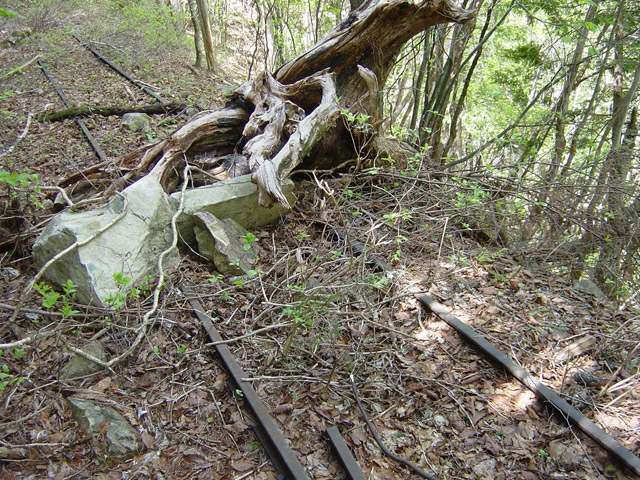 �����X�ѓS��,�ѓS,�p����,�O����,�O��,�c�u���[��,���H