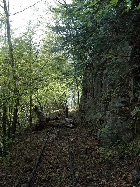 �����X�ѓS��,�ѓS,�p����,�O����,�O��,�c�u���[��,���H