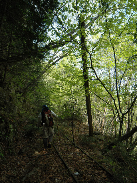 �����X�ѓS��,�ѓS,�p����,�O����,�ʐM��,�c�u���[��,���H