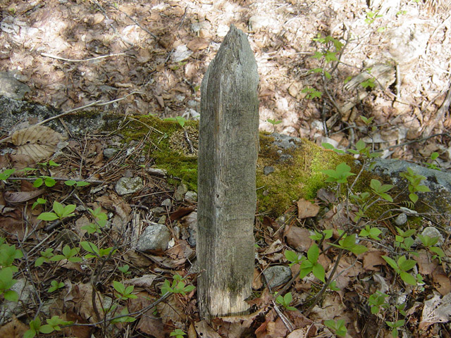 �����X�ѓS��,�ѓS,�p����,�O����,�ؑ]�X,�Ȑ��W