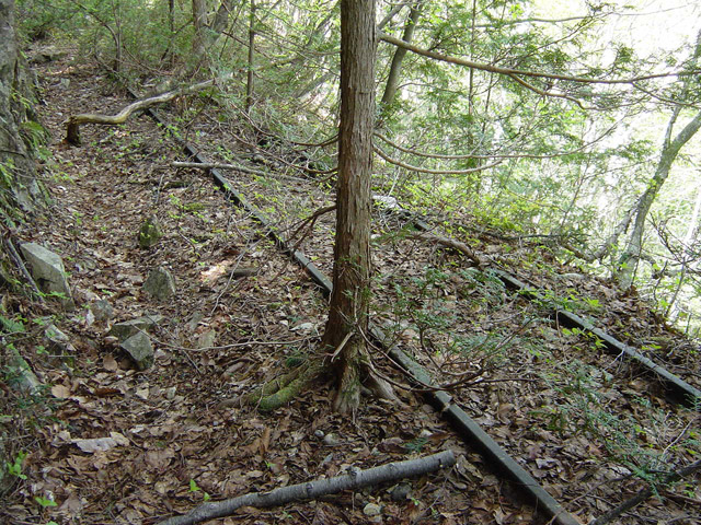 �����X�ѓS��,�ѓS,�p����,�O����,�O��,�c�u���[��,���H