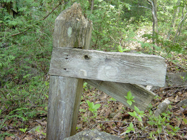 �����X�ѓS��,�ѓS,�p����,�O����,���z�W,�W��