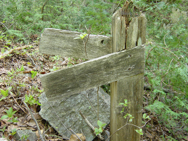 �����X�ѓS��,�ѓS,�p����,�O����,���z�W,�W��