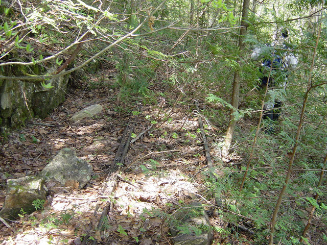 �����X�ѓS��,�ѓS,�p����,�O����,�O��,�c�u���[��,���H