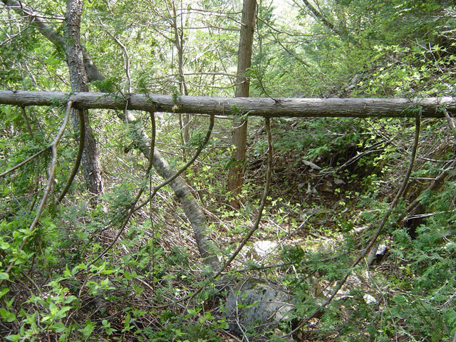 �����X�ѓS��,�ѓS,�p����,�O����,����,����c�я�