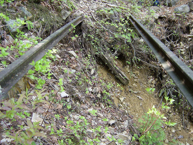 �����X�ѓS��,�ѓS,�p����,�O����,�O��,���u�����[��,���H