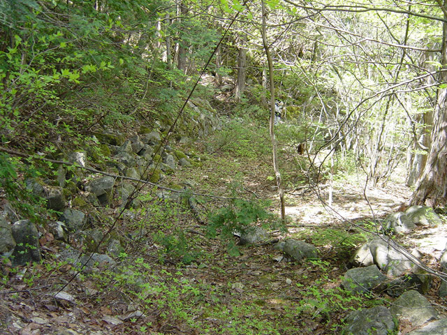 �����X�ѓS��,�ѓS,�p����,�O����,�O��,�c�u���[��,���H