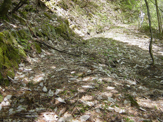 �����X�ѓS��,�ѓS,�p����,�O����,����,����c�я�,���H