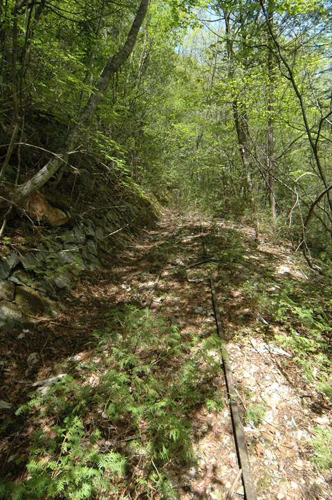 �����X�ѓS��,�ѓS,�p����,�O����,����,����c�я�,���H