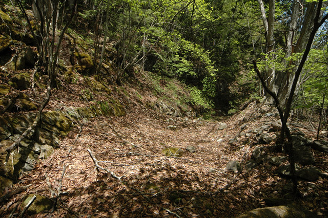 �����X�ѓS��,�ѓS,�p����,�O����,����,����c�я�,���H