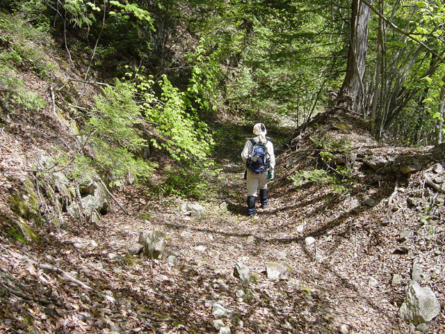 �����X�ѓS��,�ѓS,�p����,�O����,����,����c�я�,���H