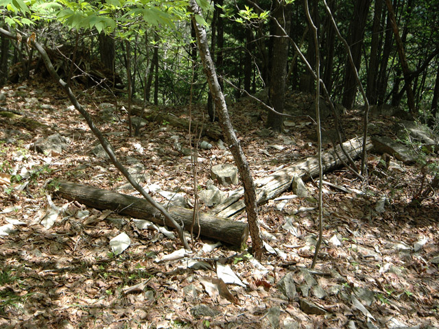 �����X�ѓS��,�ѓS,�p����,�O����,����,����c�я�,�ʐM��