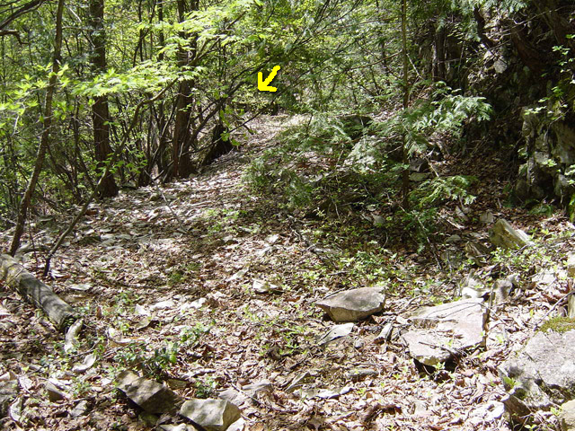 �����X�ѓS��,�ѓS,�p����,�O����,�O��,�c�u���[��,���H