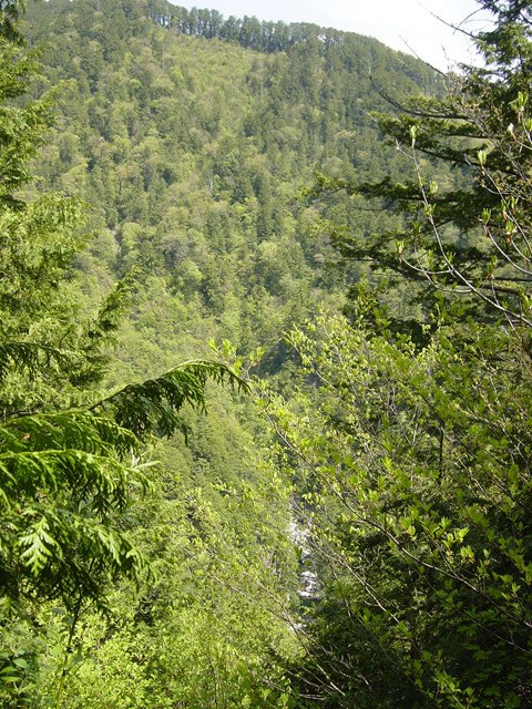 �����X�ѓS��,�ѓS,�p����,�O����,������,?��x��