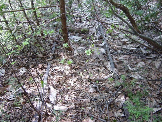 �����X�ѓS��,�ѓS,�p����,�O����,�O��,�c�u���[��,���H