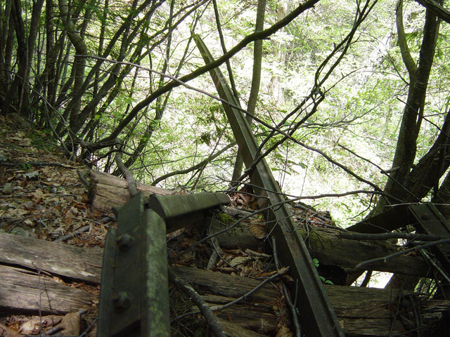 �����X�ѓS��,�ѓS,�p����,�O����,��������,�c�u���[��,�����