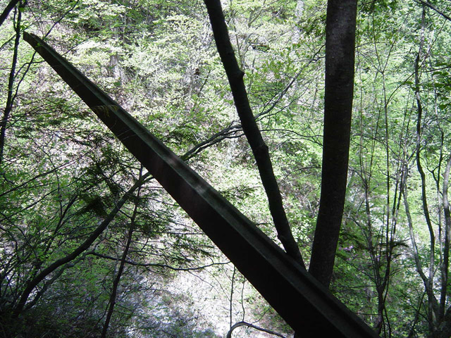 �����X�ѓS��,�ѓS,�p����,�O����,��������,�c�u���[��,�����